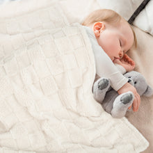 Load image into Gallery viewer, HOMRITAR 3D Gingham Fleece Baby Blanket Comfort Reversible Shaggy Cozy Decor for Home Bed Blanket