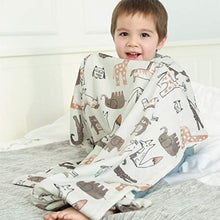 Load image into Gallery viewer, BORITAR Baby Blanket Soft Minky with Double Layer Dotted Backing, Lovely Animals Printed 30 x 40 Inch Receiving Blanket
