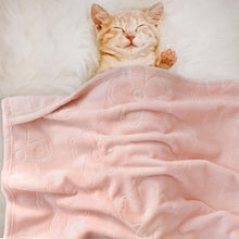 Load image into Gallery viewer, BORITAR Baby Blanket for Girls Ultra Soft Cozy Fleece Baby Blankets, Warm and Lightweight Toddler Blanket with Elegant Floral Printed for Bed Stroller Crib Travel, 30x40 Inch, Pink
