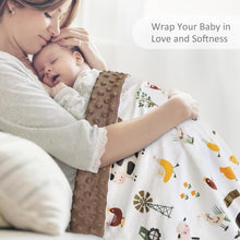 Load image into Gallery viewer, Baby Blanket for Boys Soft Lightweight Minky Blanket with Double Layer Dotted Backing for Infant Toddler Nursery Crib with Cute Farm Animals Design 30 x 40 Inch
