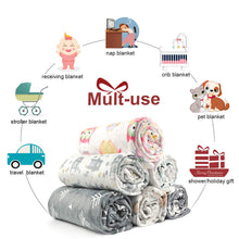 Load image into Gallery viewer, BORITAR Baby Blanket Super Soft Minky with Double Layer Dotted Backing, Little Grey Arrows Printed 30 x 40 Inch, Receiving Blankets

